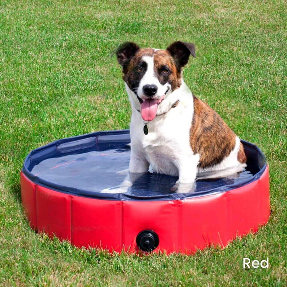 Floofi Inflatable Pet Pool 120cm*30cm XL Red FI-SB-105-SG